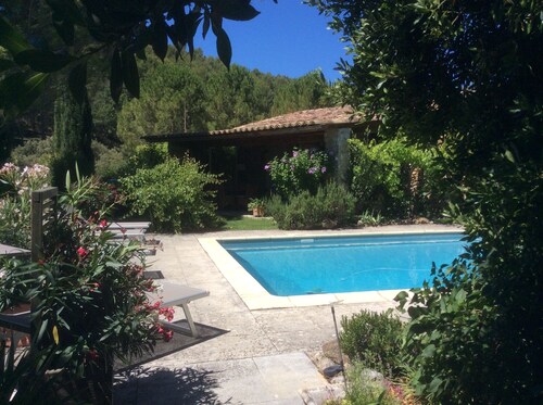 SHEEP IN THE REGIONAL PARK LUBERON