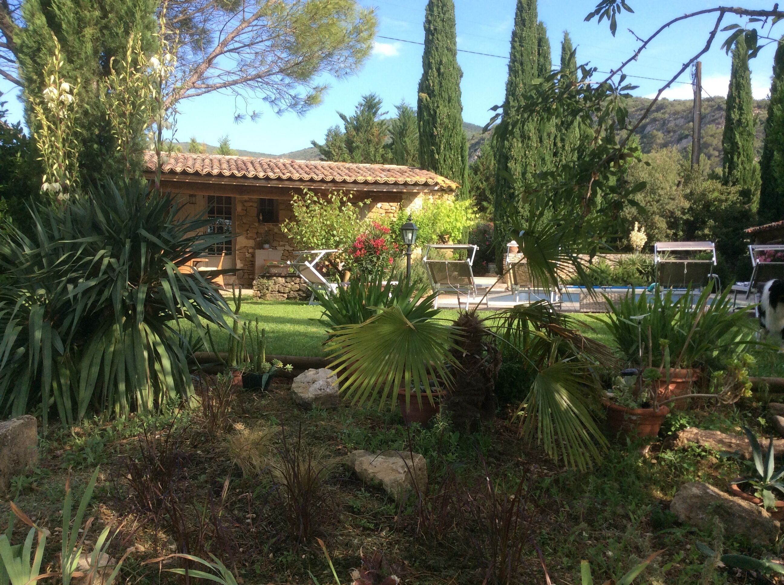 Jardines del alojamiento