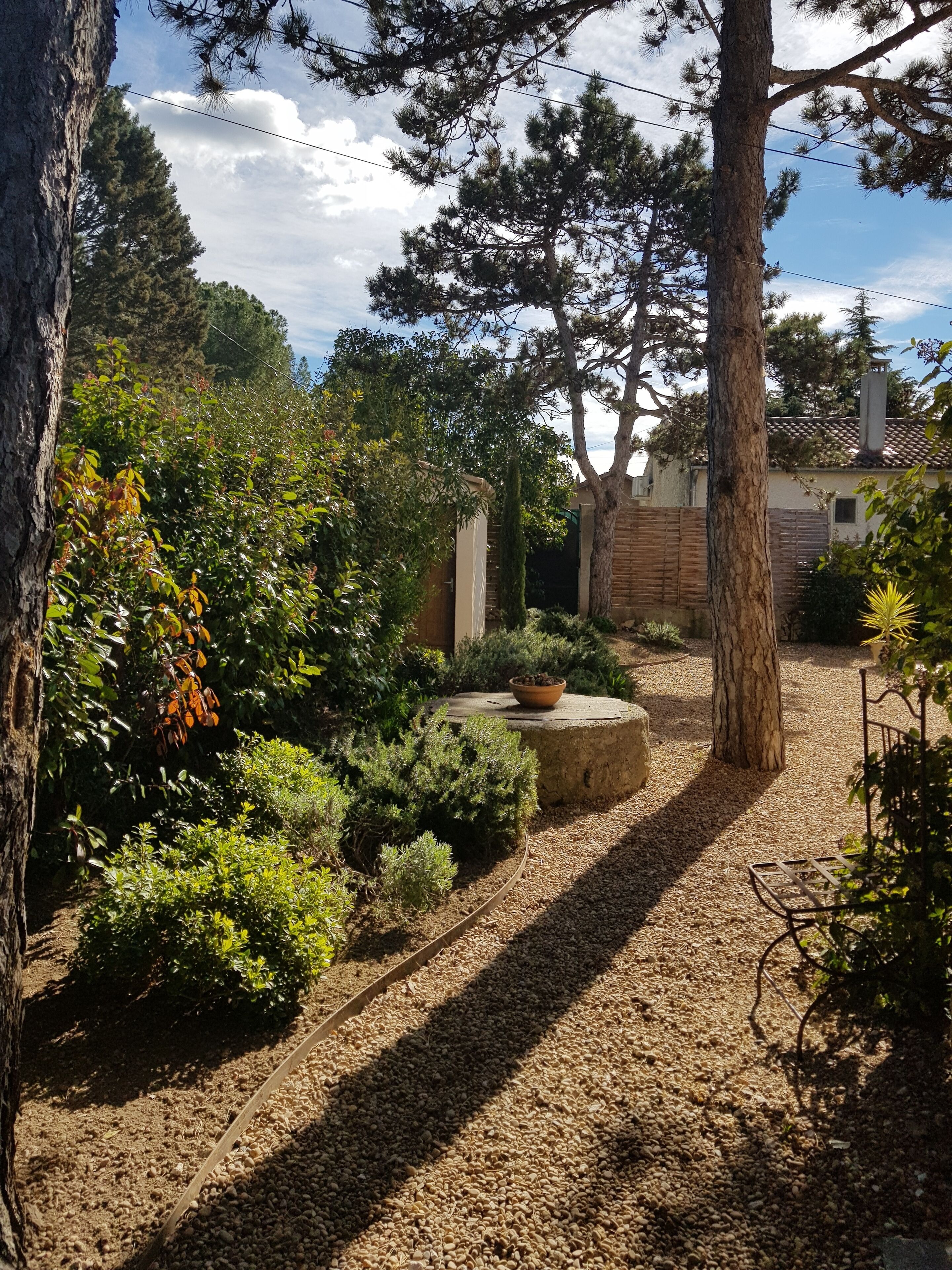 A garden with a gravel path, various shrubs, and a stone planter.