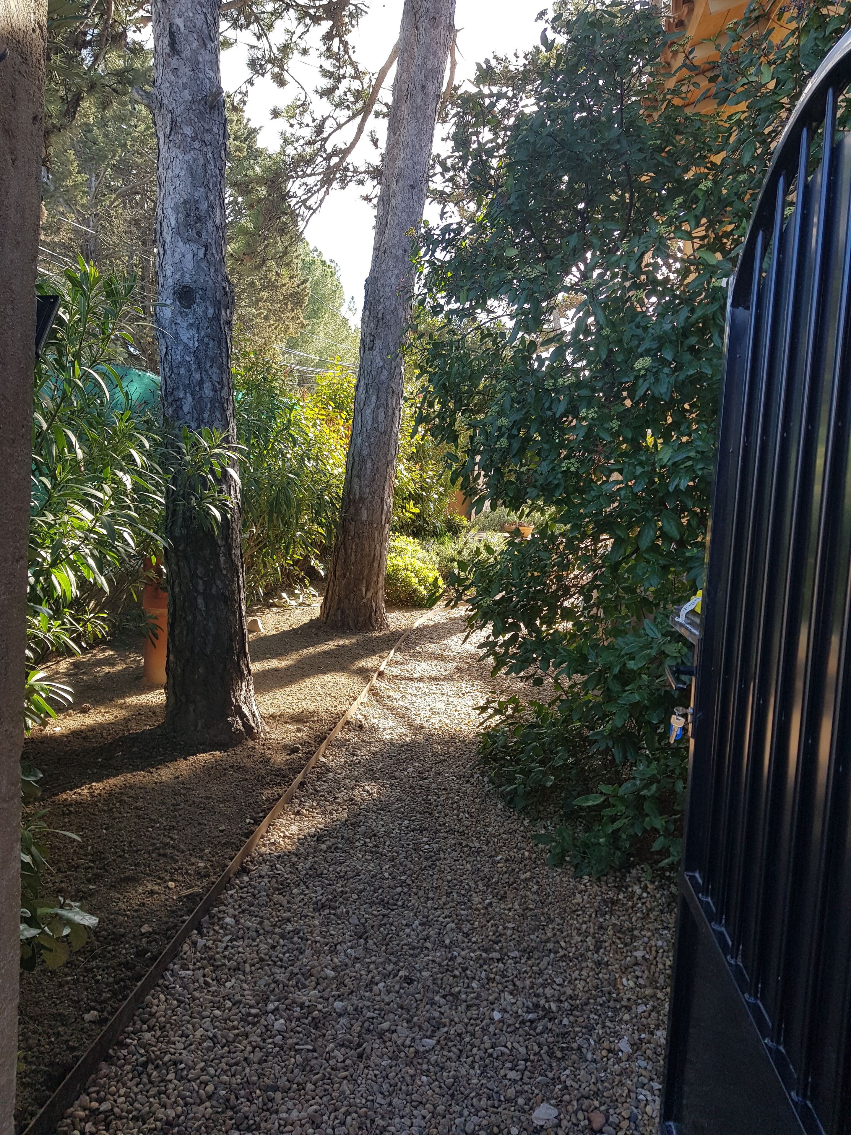 Ein Kiesweg in einem Garten mit Bäumen und einem Metalltor.