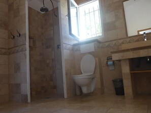 Shower, hair dryer, towels - Gîte de provence jacuzzi (Velleron)