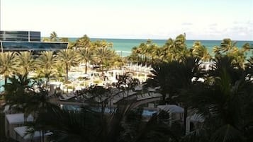 A resort with a pool area surrounded by palm trees and a view of the ocean.