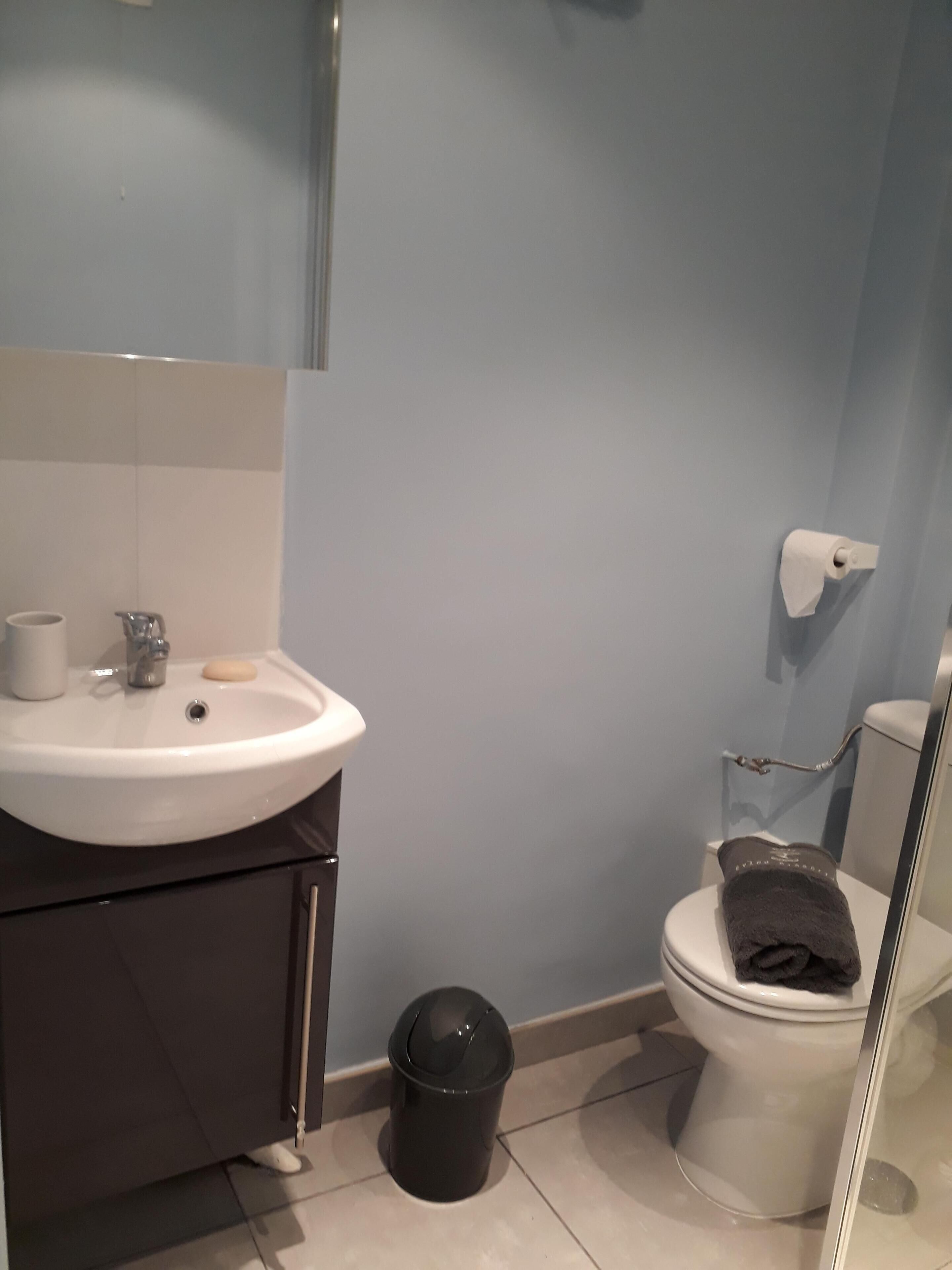 A bathroom with a sink, toilet, and trash can.
