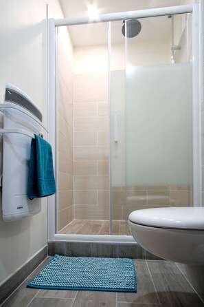 Combined shower/bathtub, free toiletries, hair dryer, towels
