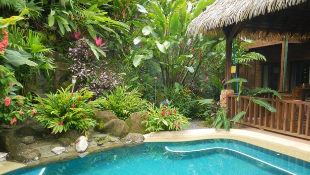 Une piscine entourée d’une végétation tropicale luxuriante et bordée d’une structure à toit de chaume.