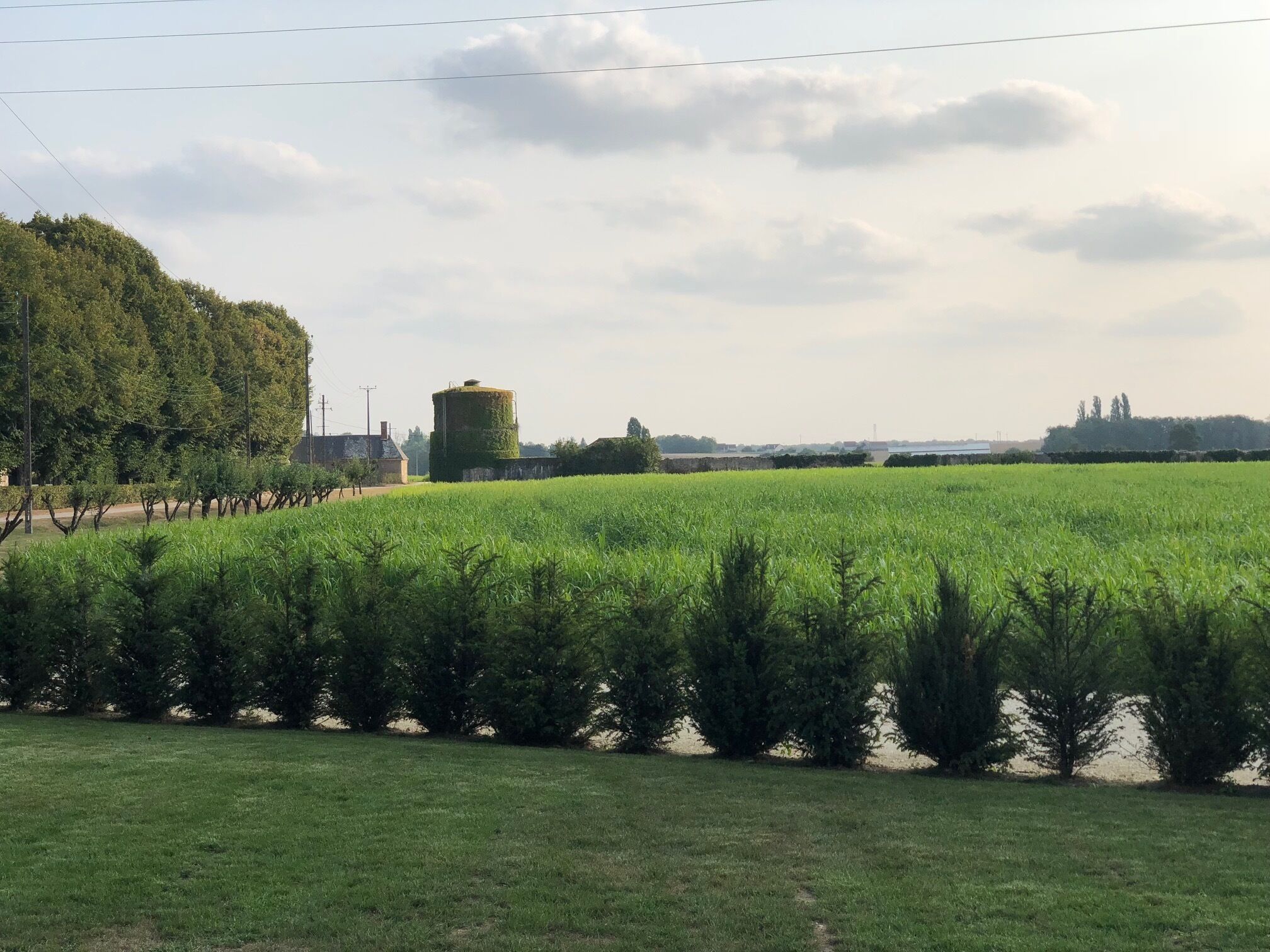 Ländliche Landschaft mit einem grünen Feld, einer Baumreihe und einem Wasserturm.