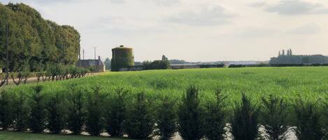 Ländliche Landschaft mit einem grünen Feld, einer Baumreihe und einem Wasserturm.