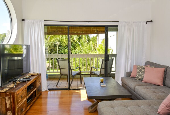 Smart TV, DVD player, books, video library