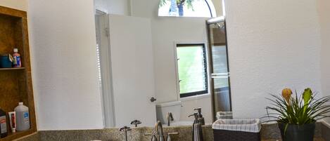 A bathroom with a granite countertop, a sink, a mirror, a window with a view of greenery, and a potted plant.