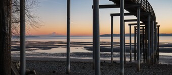 Hermosa vista del monte. Rainier en Puget Sound