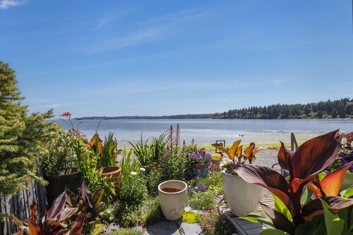 The Indianola Boathouse
Sleeps 2 in queen bed. Additional fees for 2 twin beds