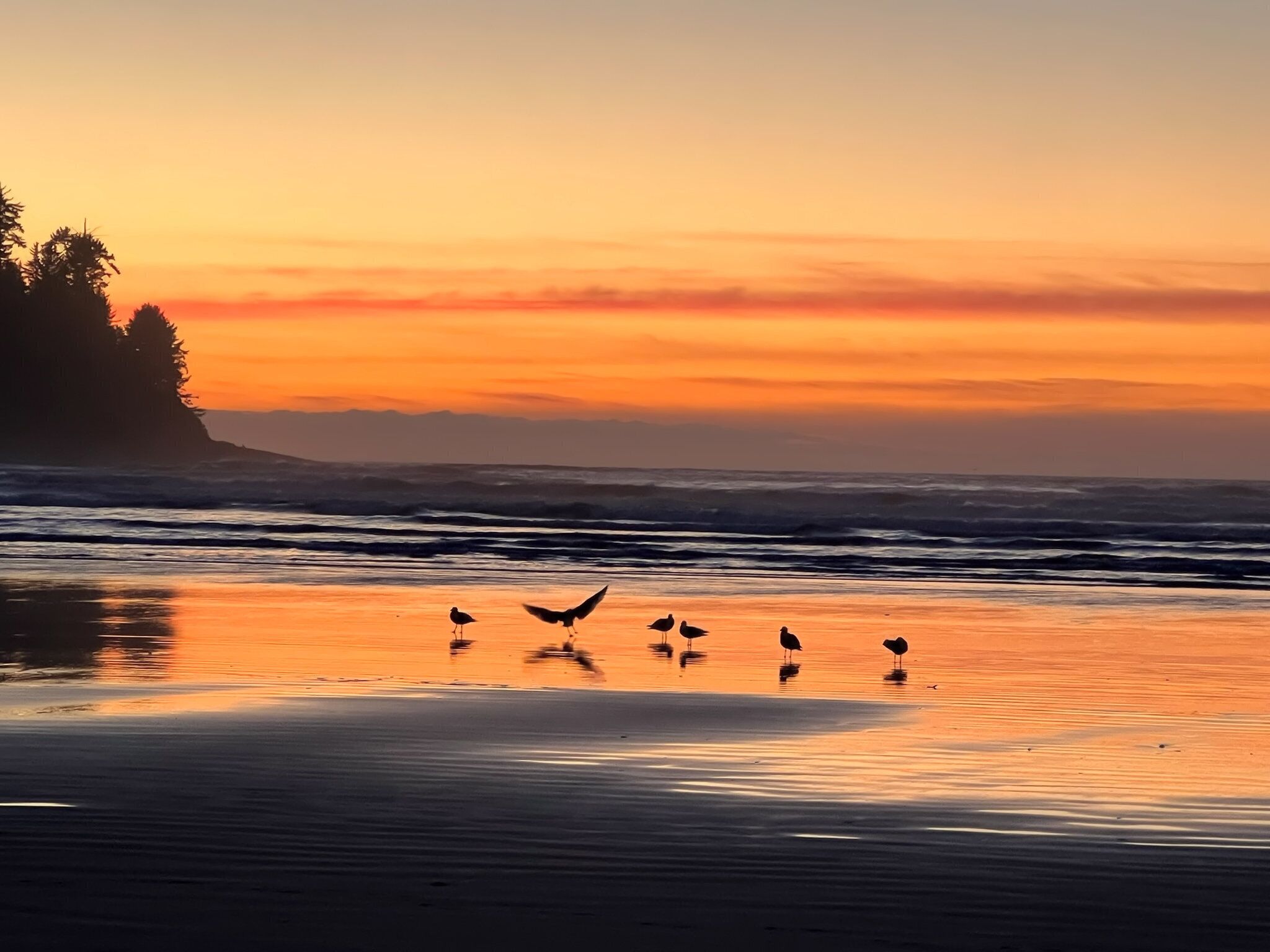 Tæt på stranden, liggestole, badehåndklæder