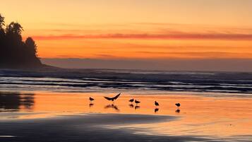 Perto da praia, espreguiçadeiras, toalhas de praia