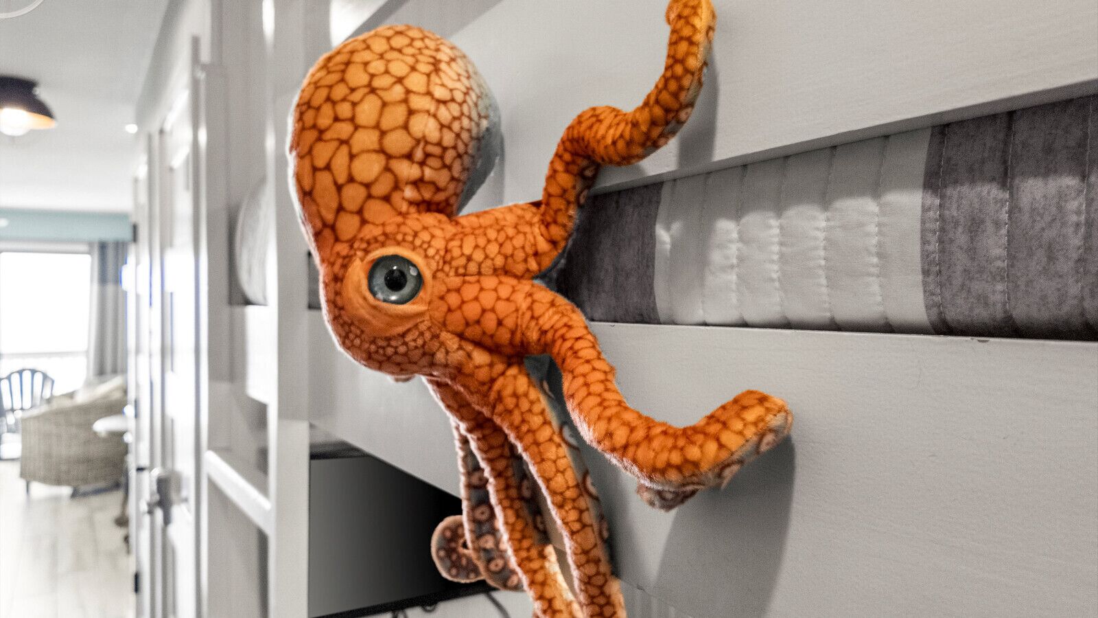 Decoración de pulpo de felpa en una pared.