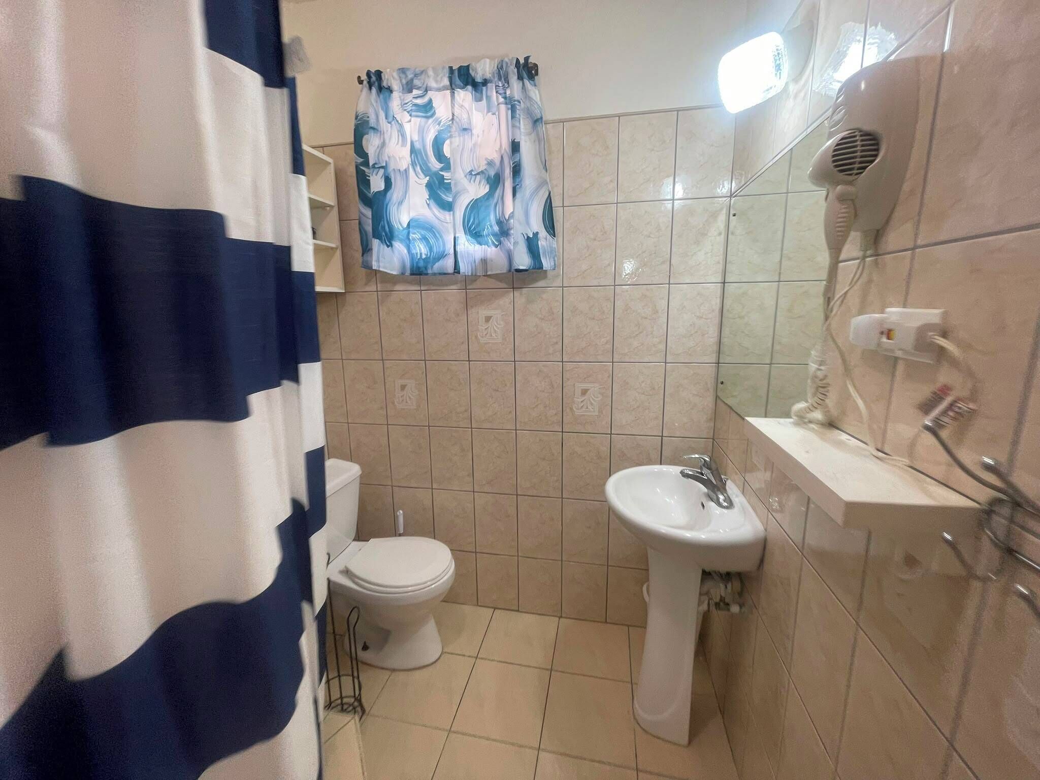 Et badeværelse med toilet, håndvask og hårtørrer.
