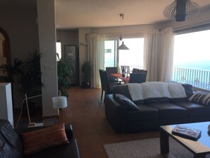 智能电视、壁炉、DVD 播放器、书