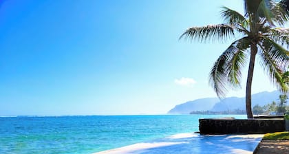 * 499 dollaria erikoistarjous!* Oceanfront Private Oasis w / keskustassa AC - Turtle Point Beach House