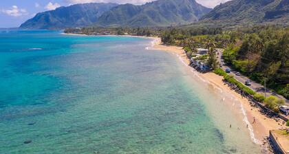 SALE April-May 2026: BEACHFRONT Luxe. Swim with turtles! 4 bed/3 bath AC