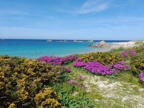 Accommodatie ligt op het strand