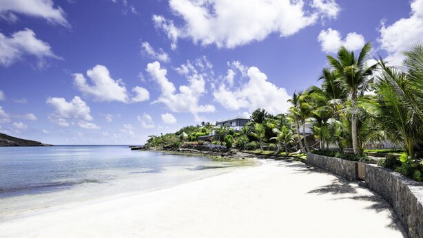 A beach with a white sand shore, clear blue water, and a row of palm trees. - BOUGAINVILLIERS Very Private and Charming Villa With Sea View Close to the Beach (Anse de Marigot)