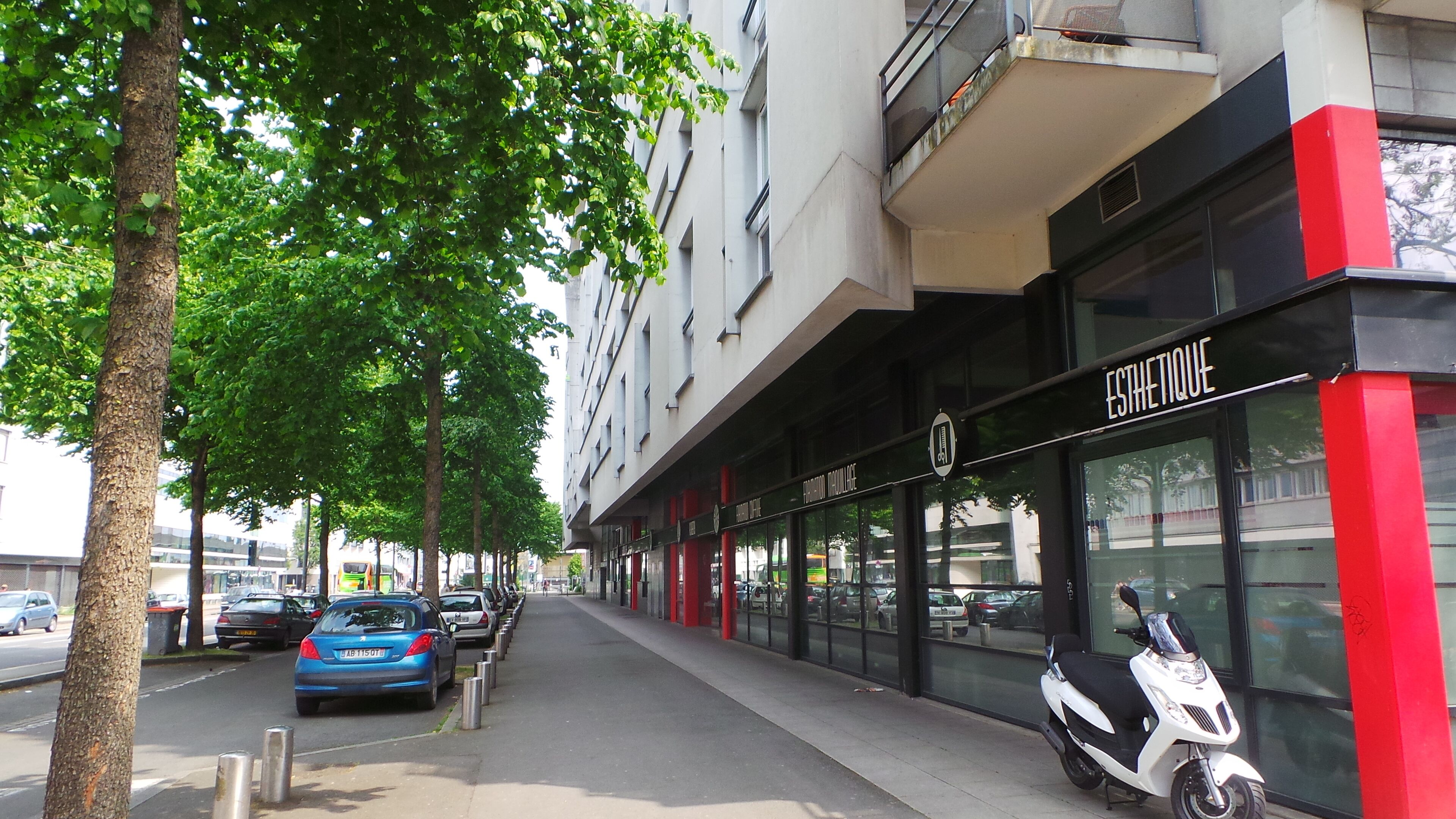 En gatubild med en rad parkerade bilar, en trottoar kantad av träd och en byggnad med en butiksfasad där det står ”ESTHETIQUE”.