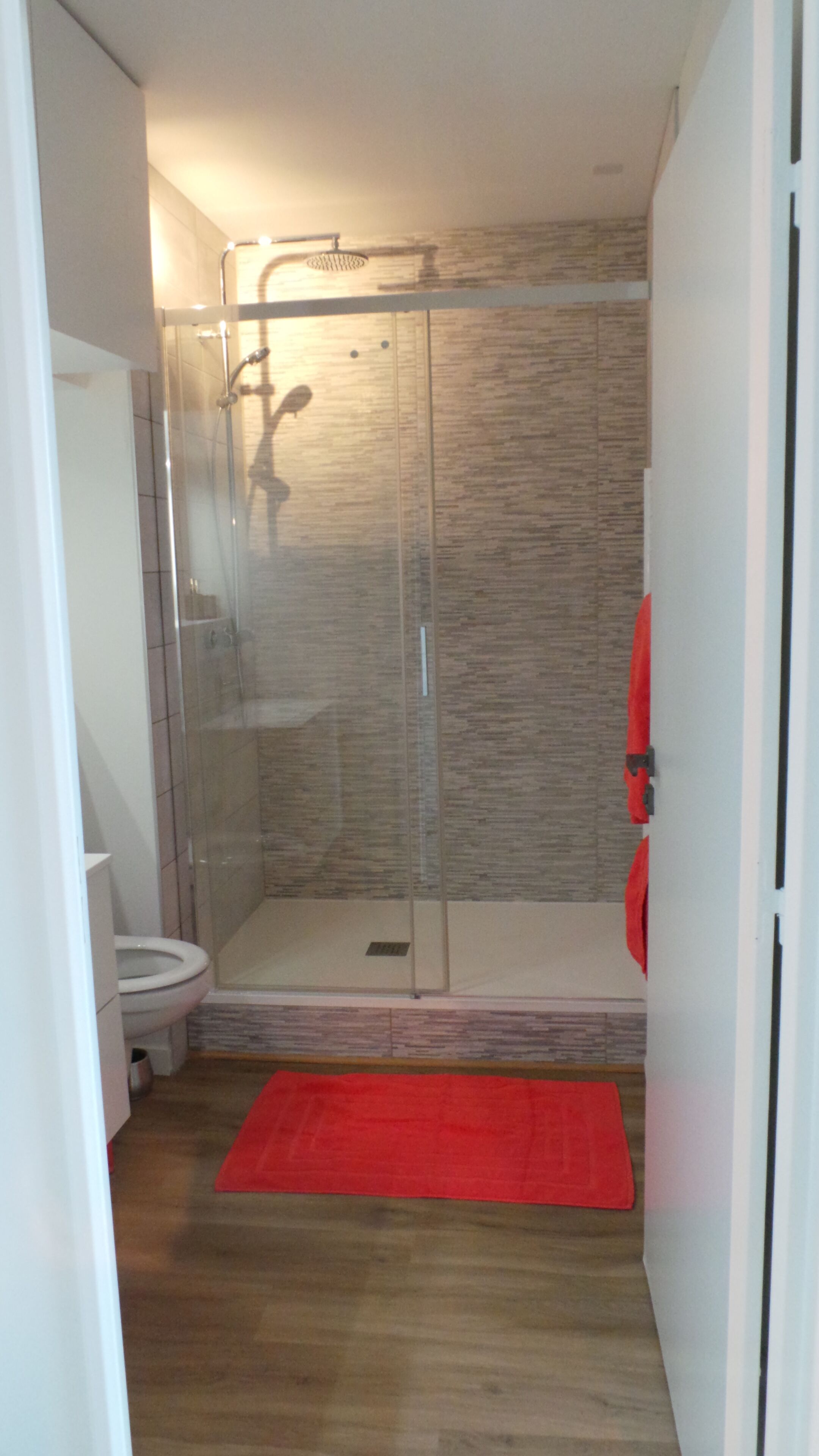 A modern bathroom with a glass-enclosed shower, a toilet, and a red rug.