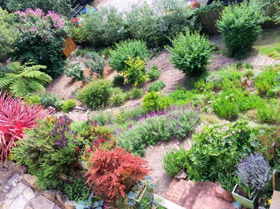 Just blocks from UC, Simons, MSRI, Haas and Goldman Schools with great Bay views