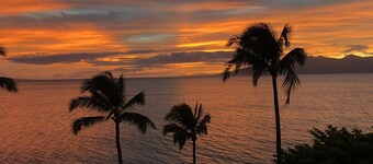 WOW WOW WOW 50 ft to the ocean, views in every room 2bd2bth condo HUGE 1680sf,AC