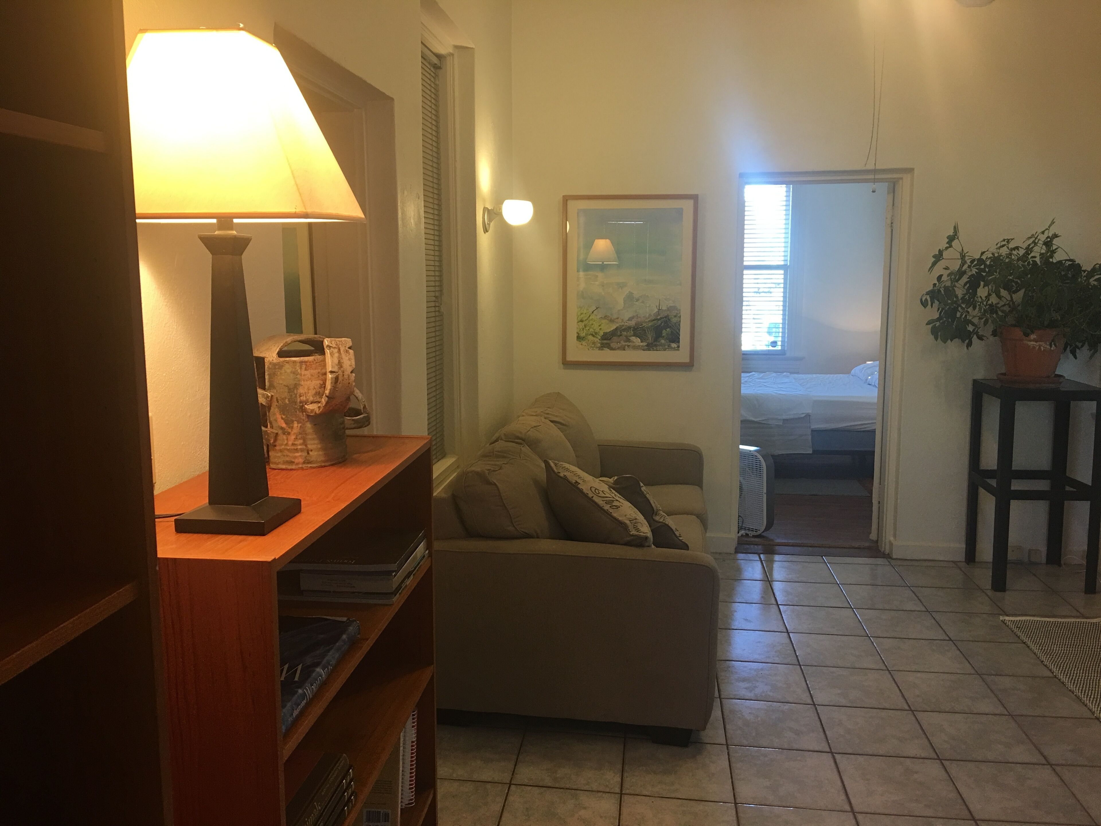 Una sala de estar con un sofá, una lámpara, una estantería y una planta en maceta.