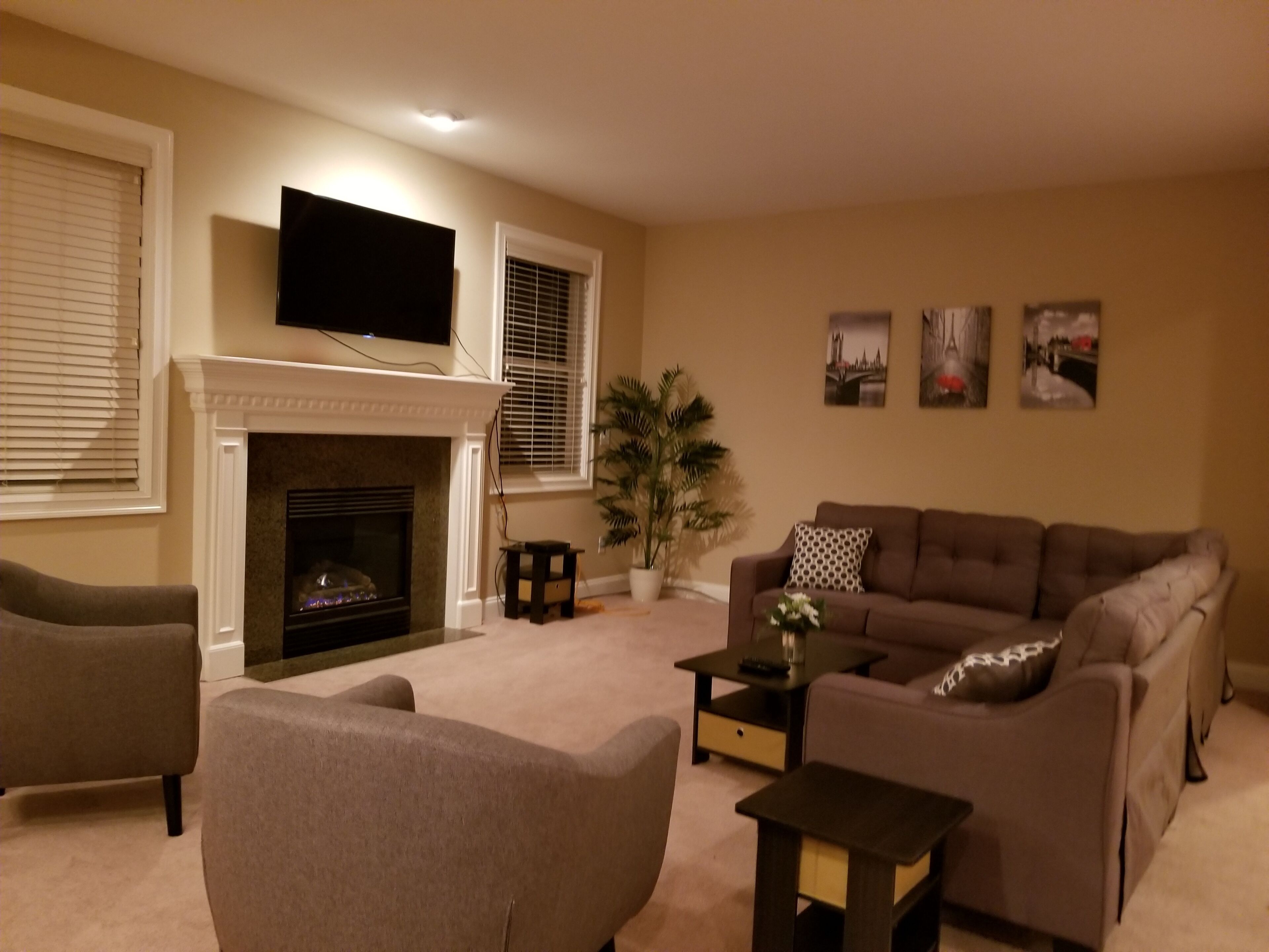 TV connectée, cheminée, chaîne hi-fi