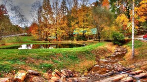 A natural landscape with a pond, trees, and a stream.
