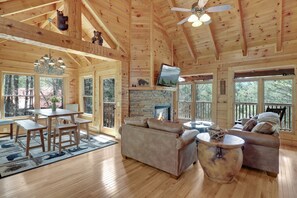 TV, fireplace, video games, DVD player