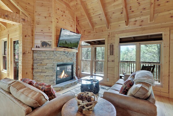 TV, fireplace, video games, DVD player