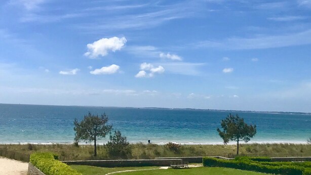 Eine Küstenansicht mit einem Sandstrand, einigen Bäumen und einem wolkenlosen, blauen Himmel.