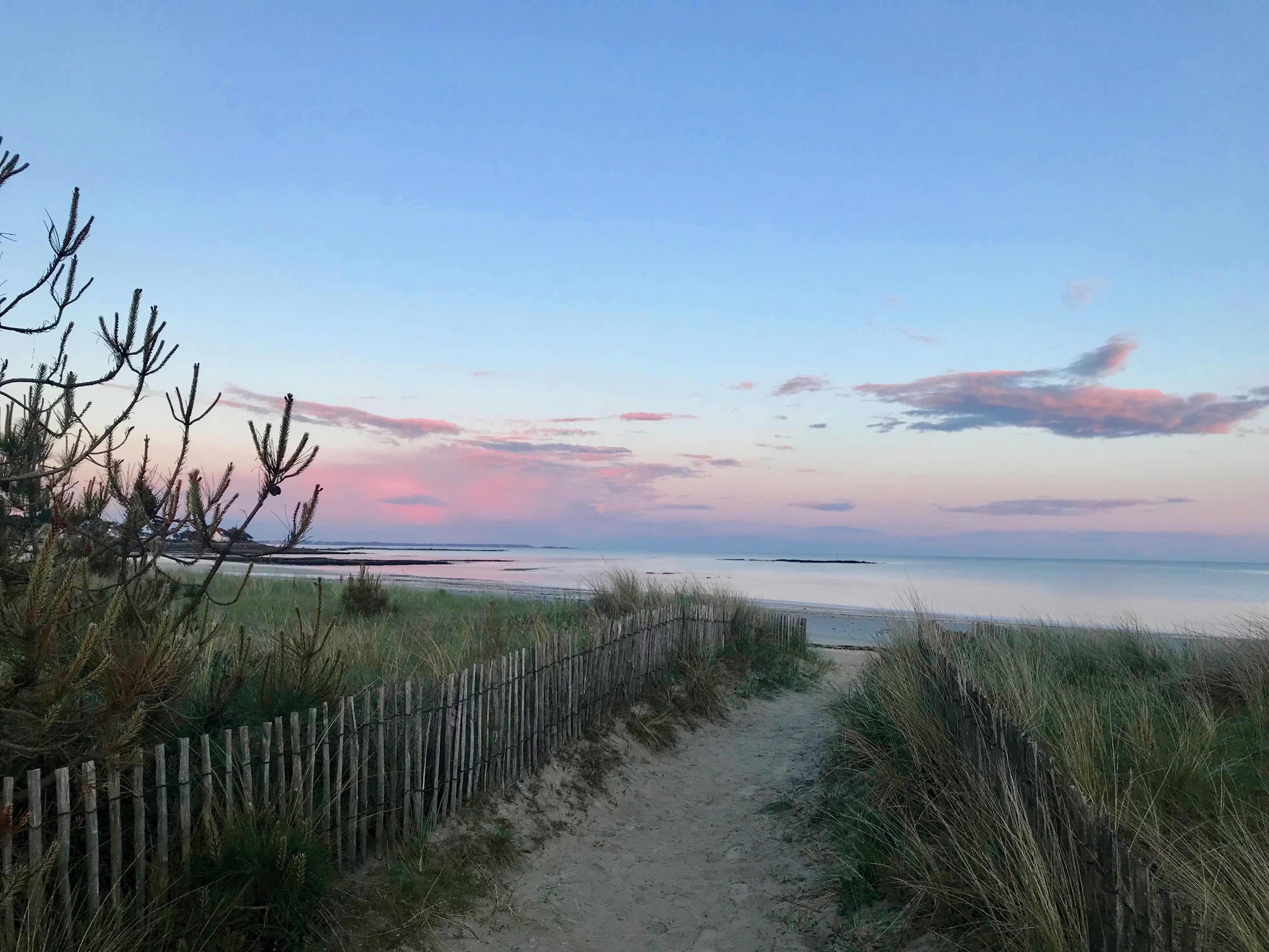 Een zandpad dat naar een strand leidt, met een houten omheining aan één kant.