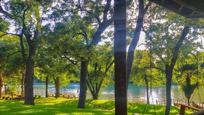 Un parque verde y exuberante con un columpio de madera, una zona cubierta de césped y vistas a un lago tranquilo.