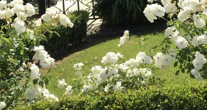 Yksi lohko Napan keskustaan! ...Kävele kaikki!