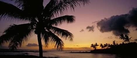 Nära stranden