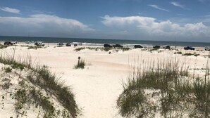 Uma praia com dunas de areia e céu claro.
