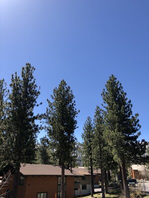 Unclassified image, 4 of 10, button