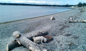 On the beach, beach towels