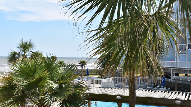 Zona de piscina con palmeras y vista al océano.