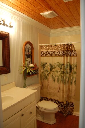 Shower, towels, toilet paper