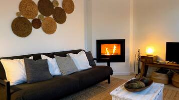 Televisión, chimenea y libros