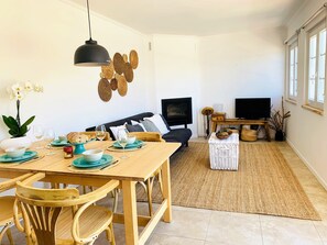 TV, fireplace, books