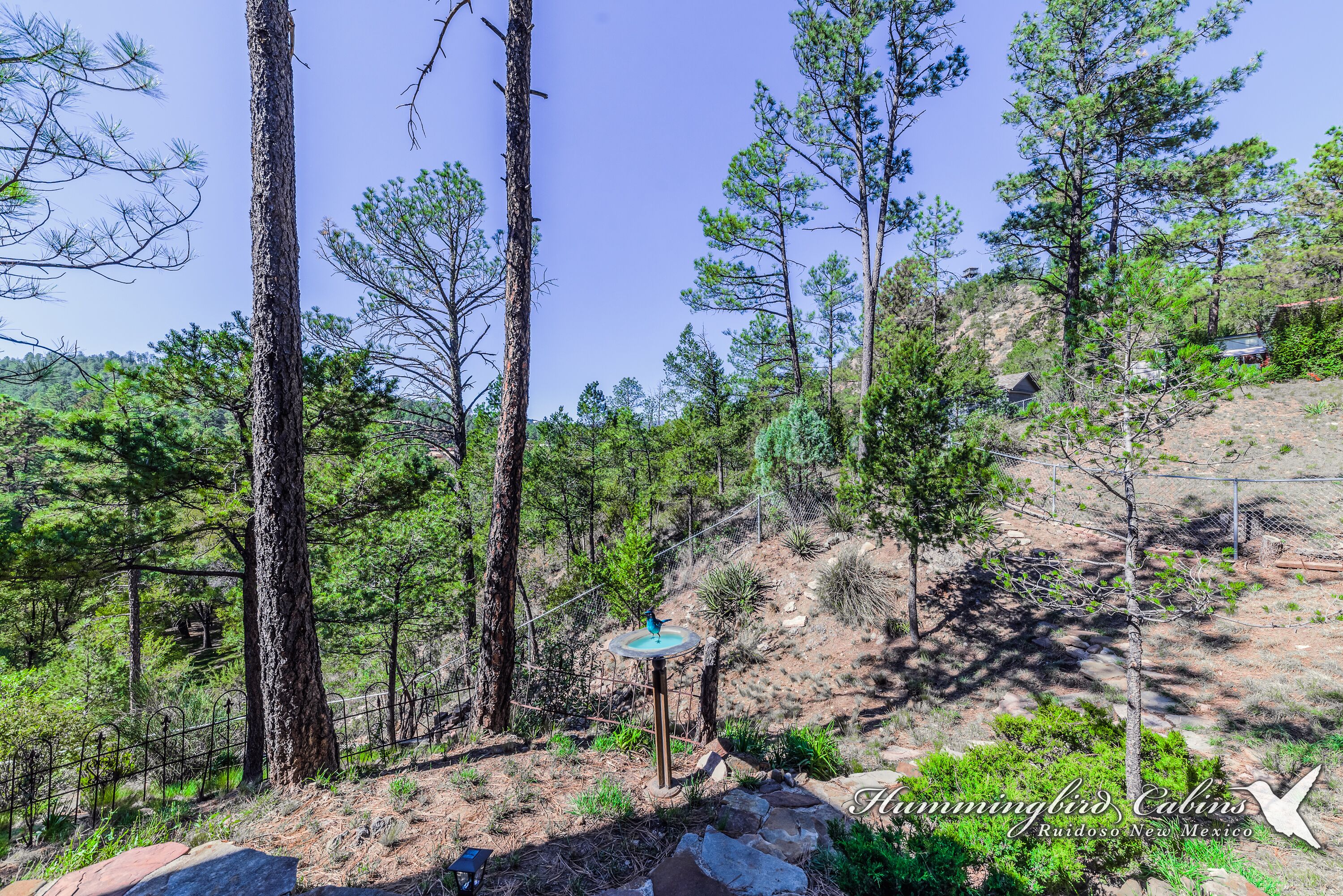 A mountainous landscape with pine trees, a stone pathway, and a sign for Hamptonbird Cabins in Ruidoso, New Mexico.