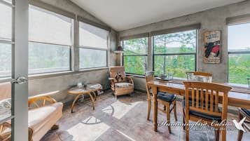 TV, fireplace, DVD player, books