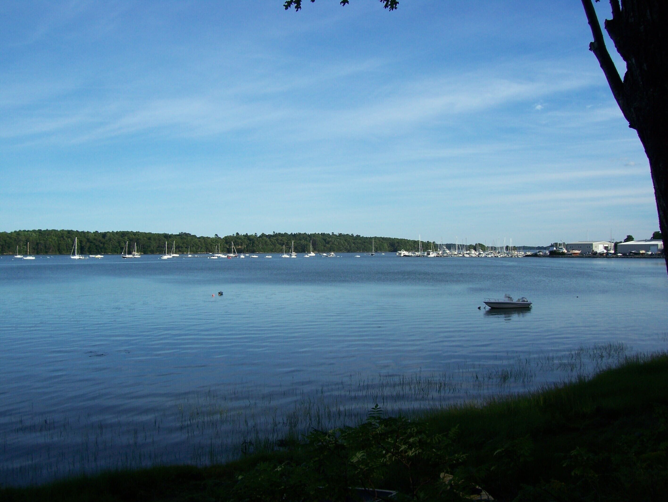 A calm body of water with several boats, a forested shoreline, and buildings in the distance.