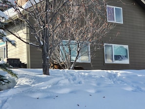 Una casa con un patio cubierto de nieve y un árbol al frente.
