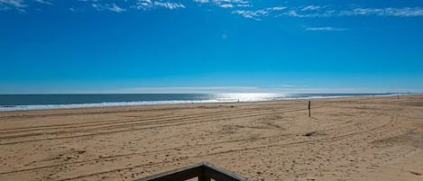 On the beach